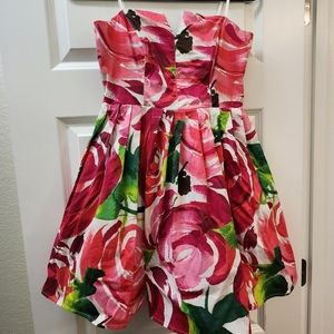Rose Mini Dress